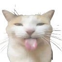 :cat_bleh: