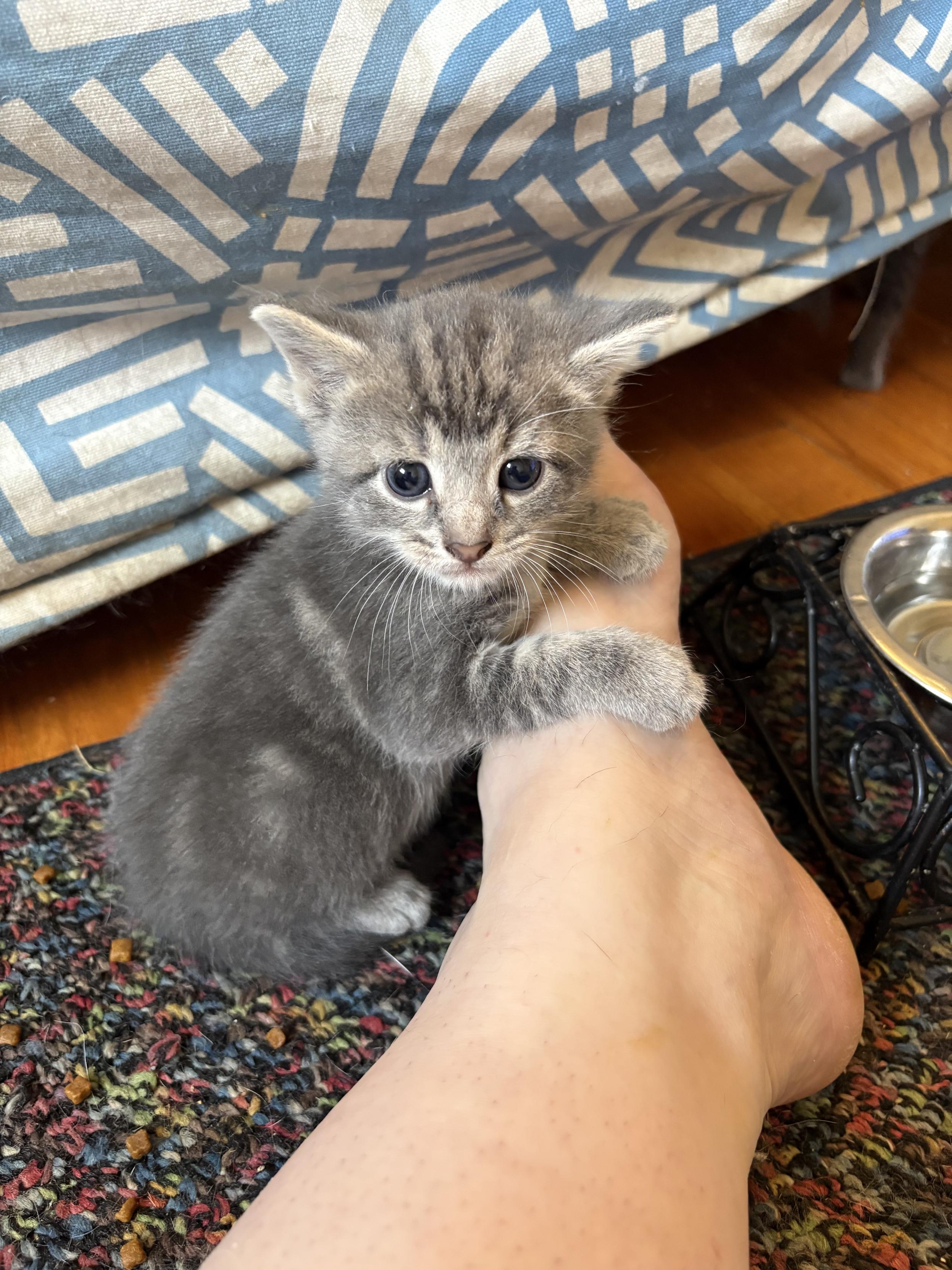 Oh, now he’s looking at the camera!